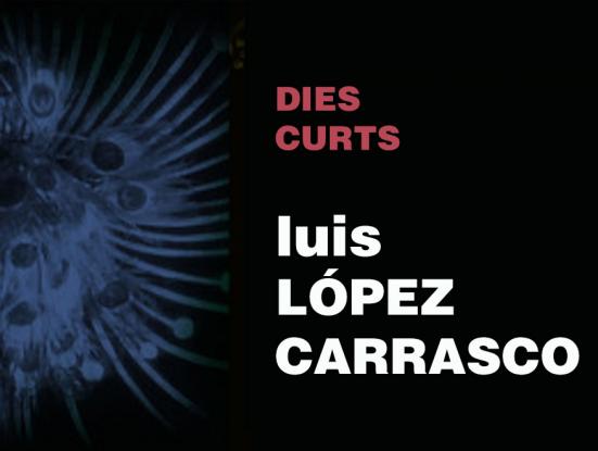 Luis Lopez Carrasco