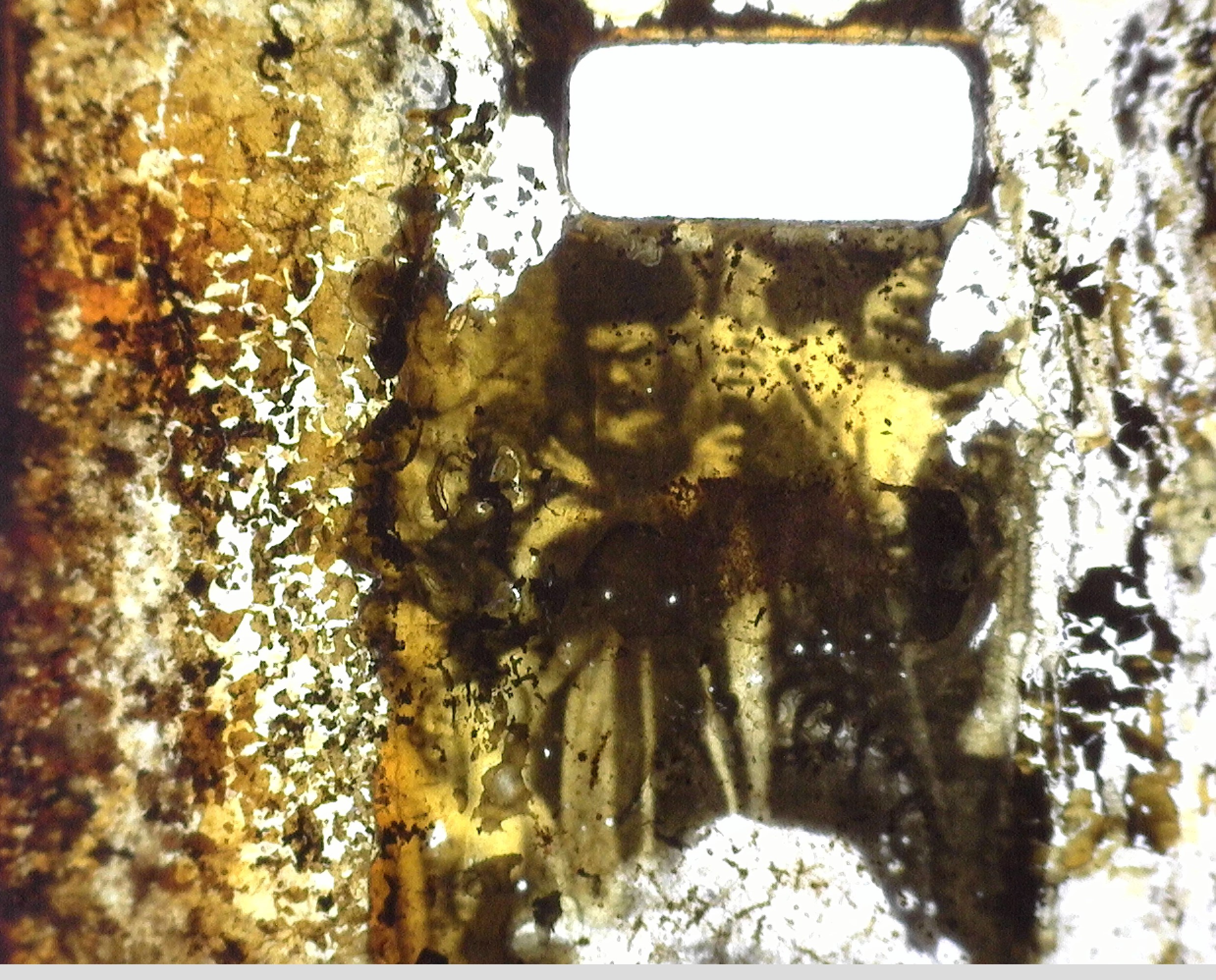 Fragment pel·licula amb imatge conservada
