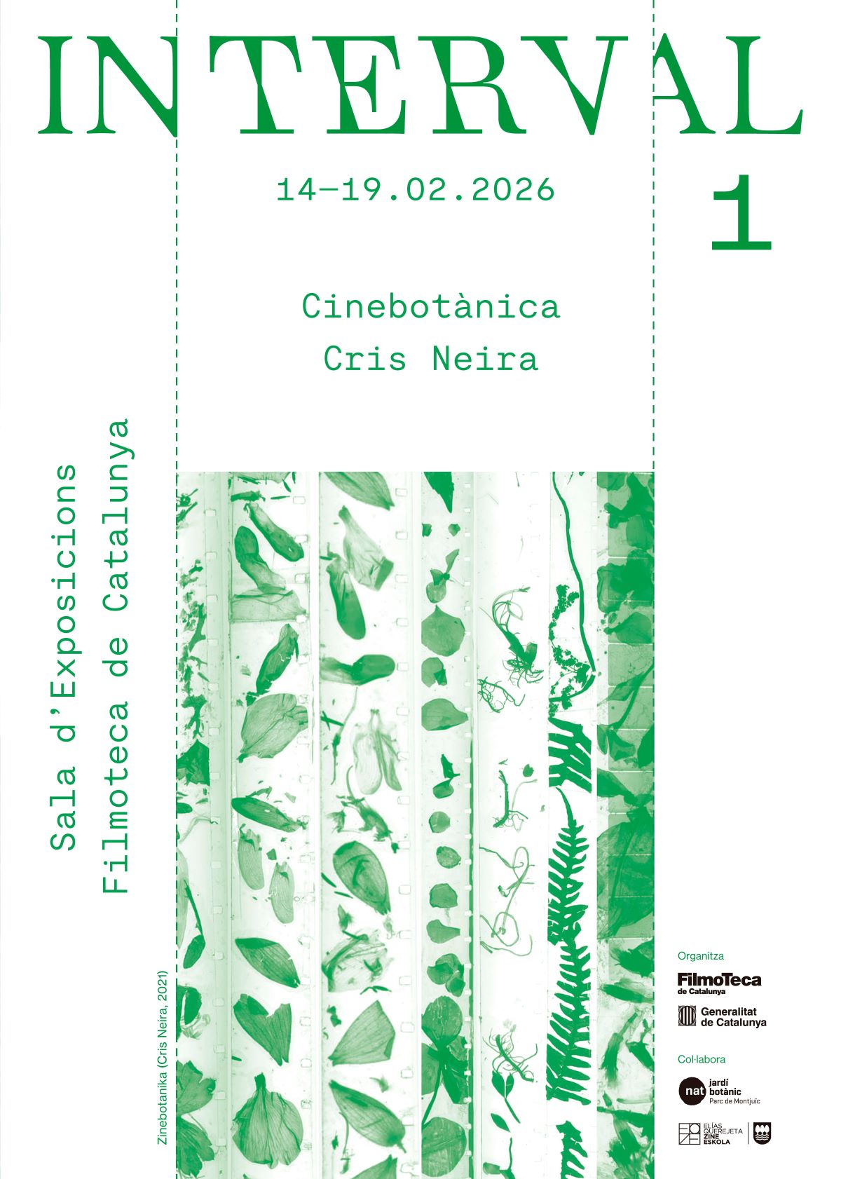 Cartell Interval 1: Cinebotànica