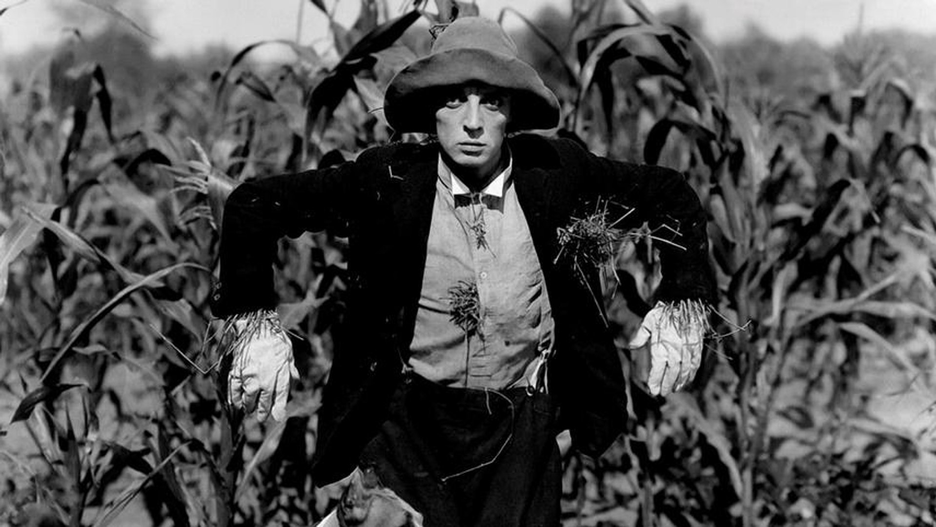 The Scarecrow 