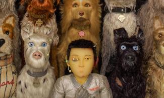 Foto 'Isle of Dogs'