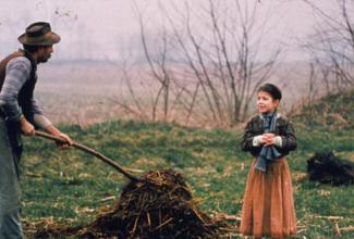 L'albero degli zoccoli (3)