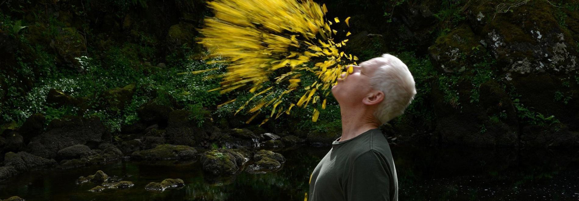 Leaning Into the Wind: Andy Goldsworthy Inclinar-se cap al vent: Andy Goldsworthy