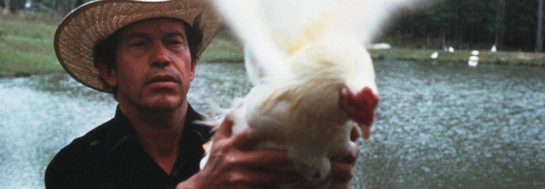 Cockfighter Gallos de pelea