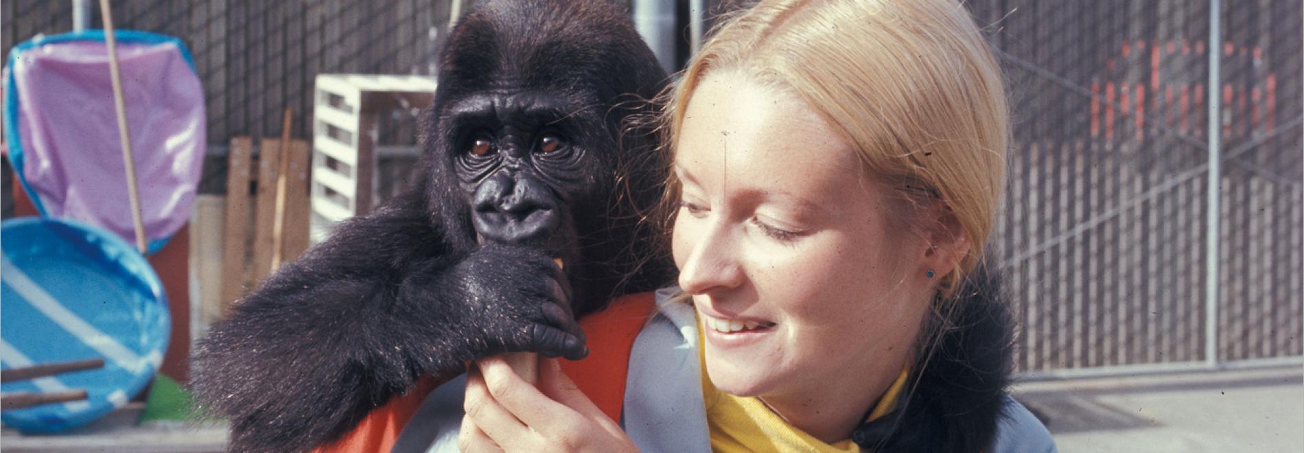 Koko, le gorille qui parle Koko, el goril·la que parla