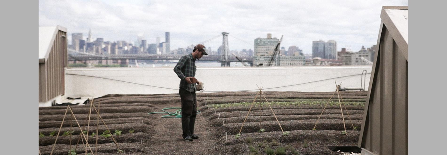 Brooklyn Farmer (Michael Tyburski, 2013)