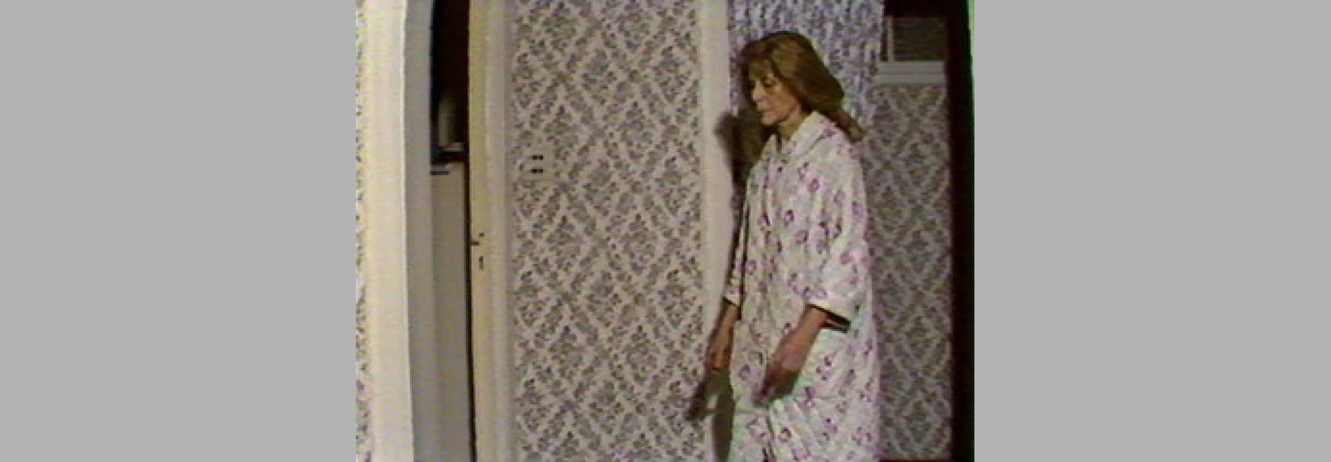 Curtmetratges premiats a la segona edició del Festival de video de Sant Sebastià