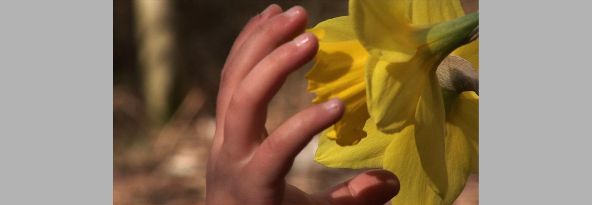 Into the Middle of Nowhere