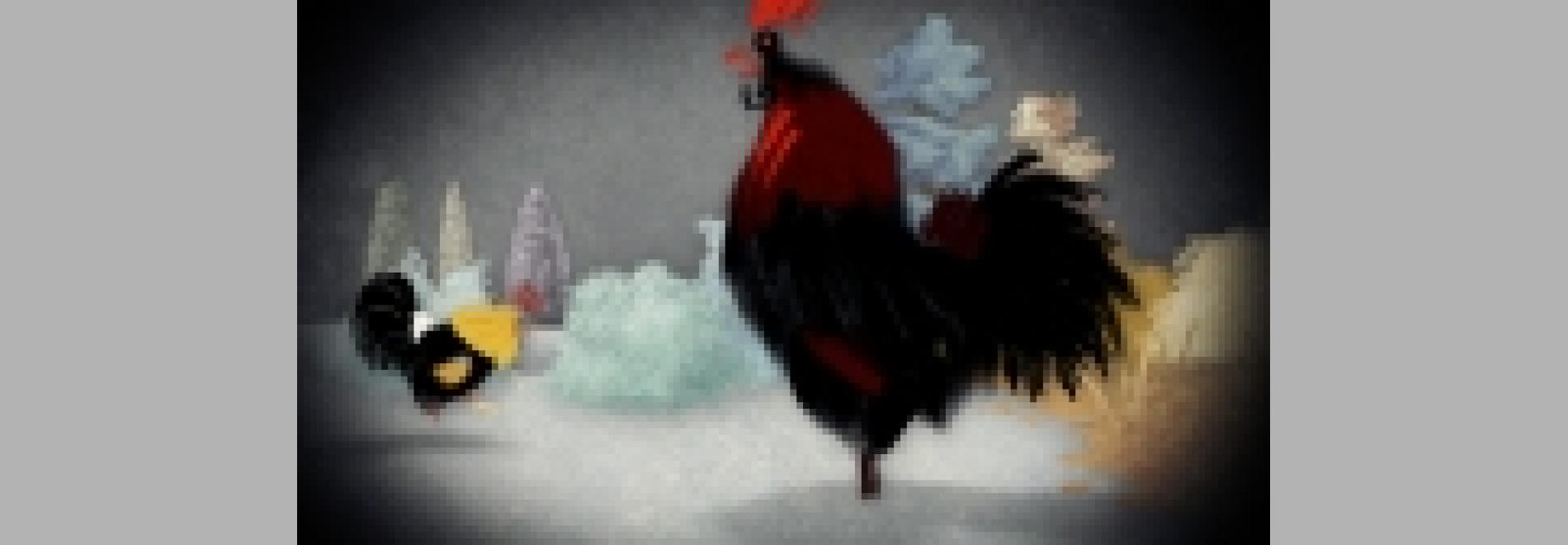 Marcel, King of Tervuren