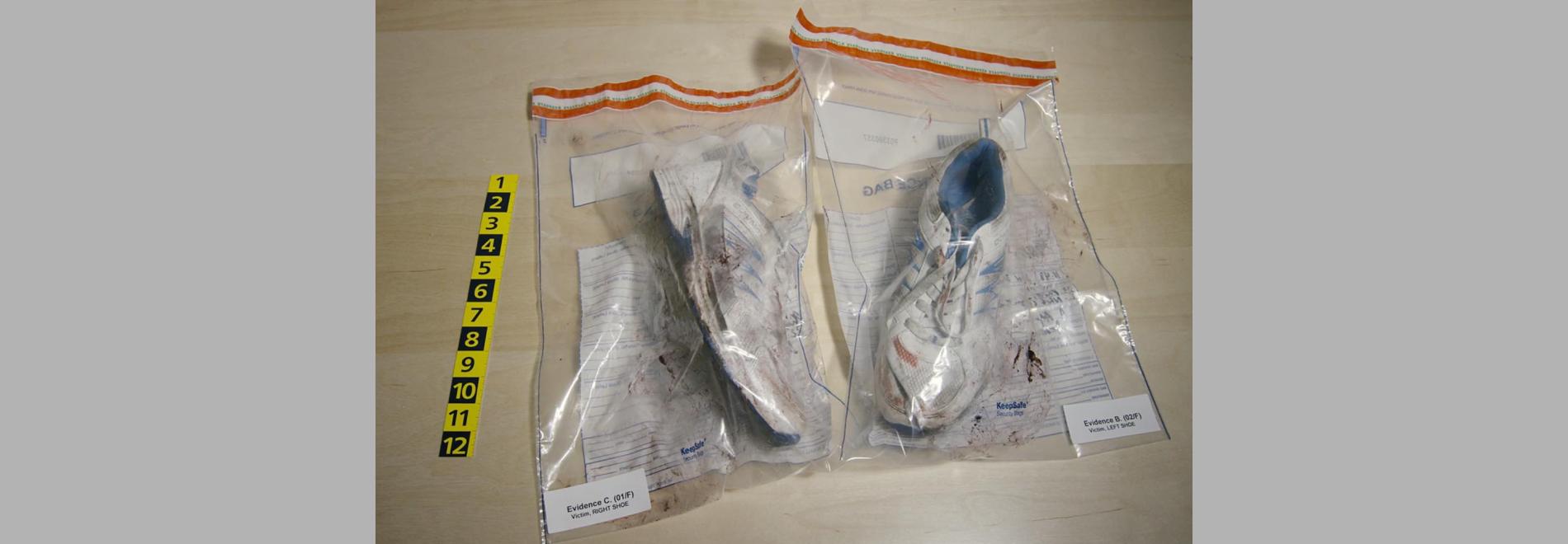 Over (John Trelfall, 2015)