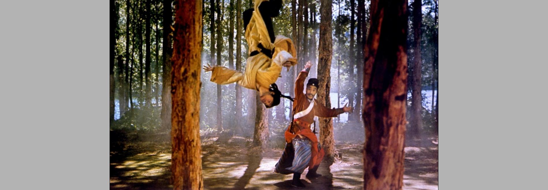 Xia nü (King Hu, 1971)