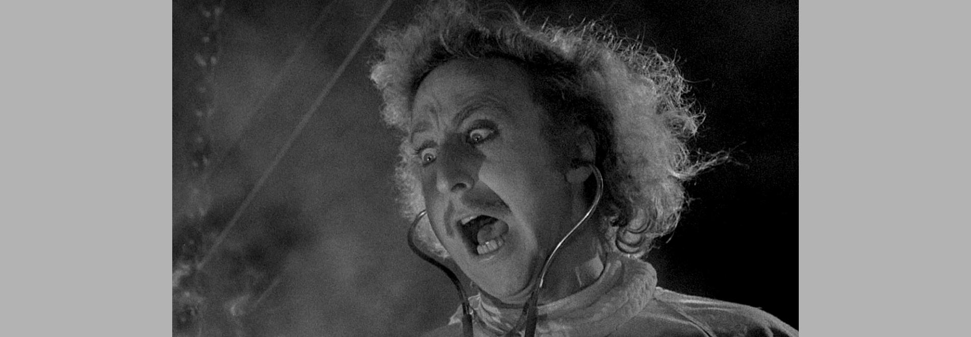 The Young Frankenstein (Mel Brooks, 1974)